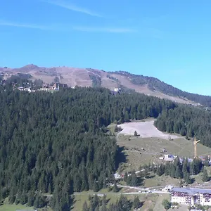 Le Seizena Montvalezan